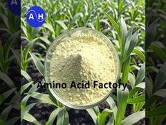 Bitki Hidrolizatları Enzimatik ve Fermantasyon Süresince Peptid ve Amino Asitlerle Zengin