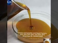 Organik Molibdenum Amino Asitler Kelatlı Mineraller Bitki Büyümesini Teşvik Ediyor