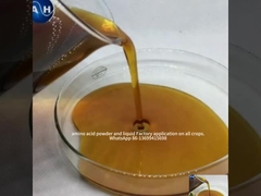 Amino Asit Kelatlı Potasyum Meyve Rengi için Kırmızı Renk Gelişimini Artıran