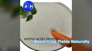 Yüzde 80 Amino Asit Tozu ile Mahsul Verimini Artırın