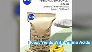 Yüzde 100 Çözünür Amino Asit Tozu ile Mahsul Verimini Artırın