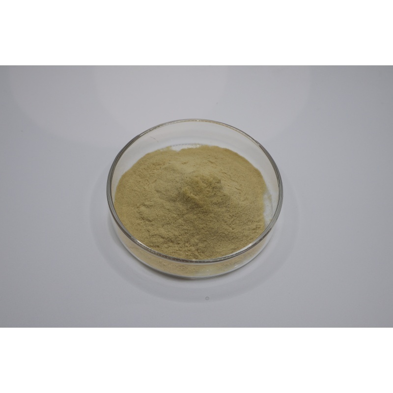 Son şirket blogları hakkında From Fermentation to Quality Testing: A Technical Guide to Evaluating 90% Fertilizer Grade Amino Acid Powder