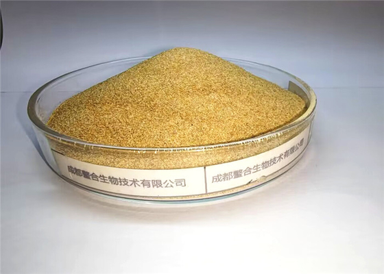 satın al Yem Sınıfı Amino Asitler Şelatlı eser elementler mineraller cu fe zn mn ko selenyum iyot Premiks online manufacture