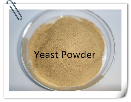 satın al Canlı stoklar B vitaminleri ve organik mikro besinlerle zengin maya tozu, 40kg/poşet online manufacture