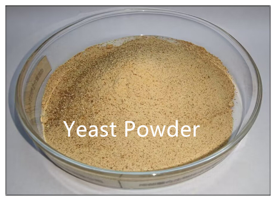 satın al Tavuklar için Maya Tozu% 40 Protein Yem Katkı Maddeleri Hammaddesi online manufacture