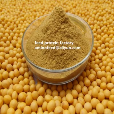 satın al Non-GMO Soy Protein Concentrate with 50% Protein Highly Digestible for Poultry and Aquatic Animals online manufacture
