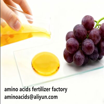 satın al Amino Acid 80% Liquid Hydrolyzed Fertilizer with Free Amino Acid ≥750g/L Total Nitrogen ≥12.0% and High Solubility for Organic Farming online manufacture