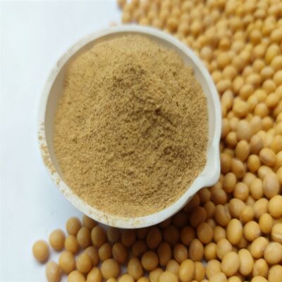 satın al Yüksek Pepsin Sindirilebilirliğine Sahip Amino Asit Yem Katkı Maddeleri, Kapsamlı Hayvan Beslenmesi İçin Ham Protein Çevrimiçi üretim