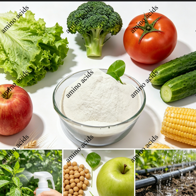 satın almak 100% Water Soluble Amino Acid Powder 80% from Non-GMO Soybean Meal for Fertilizer Formulation Çevrimiçi üretim