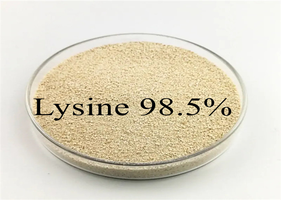 Hayvancılık Kümes Hayvanları Tavuk Domuz Hayvan Yemi Katkı Maddesi L lizin% 98,5 L-lizin HCL