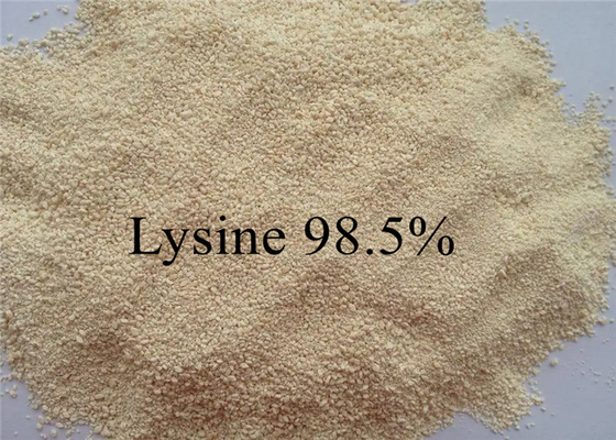 Hayvan Kümes Hayvanları İçin Amino Asit Yem Sınıfı Lizin% 99
