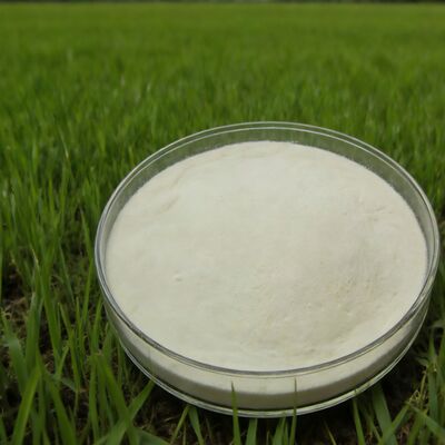 Agricultural Fertilizer-grade 85% Corn Hydrolyzed Amino Acid Powder