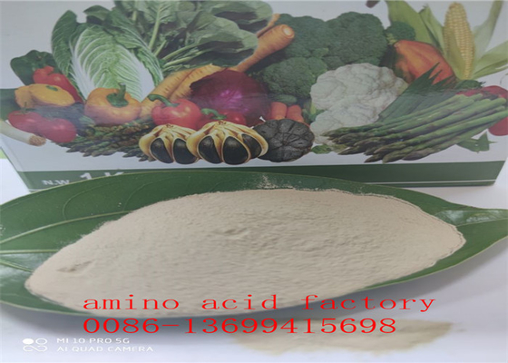 REACH Kaydı ile Serbest Amino Asit %80 Hidrolize Soya Proteini